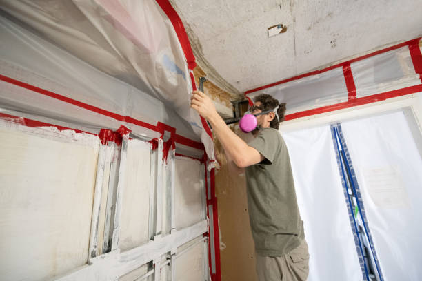 Environmental Consulting for Mold Prevention in Lyndonville, VT
