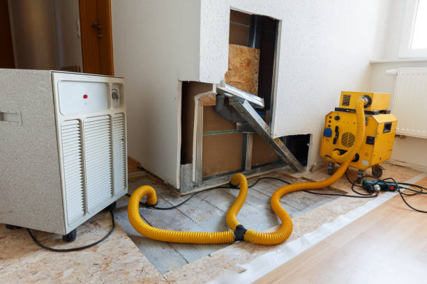 Mold Documentation for Insurance Claims in Lyndonville, VT
